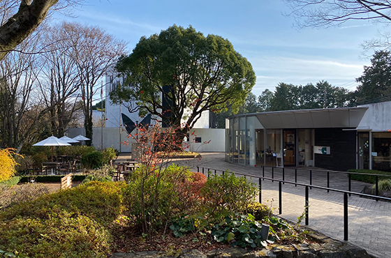 クレマチスの丘